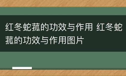 红冬蛇菰的功效与作用 红冬蛇菰的功效与作用图片