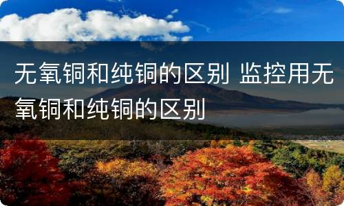 无氧铜和纯铜的区别 监控用无氧铜和纯铜的区别