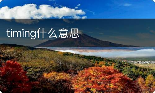 timing什么意思