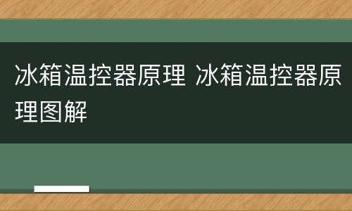 冰箱温控器原理 冰箱温控器原理图解