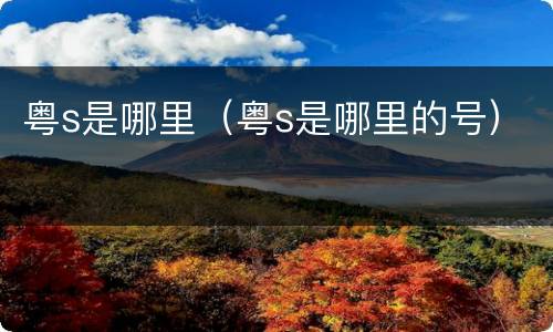 粤s是哪里（粤s是哪里的号）