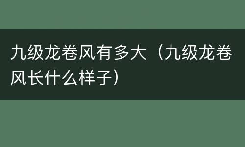 九级龙卷风有多大（九级龙卷风长什么样子）