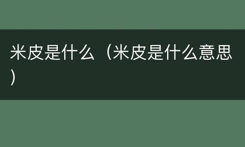 米皮是什么（米皮是什么意思）