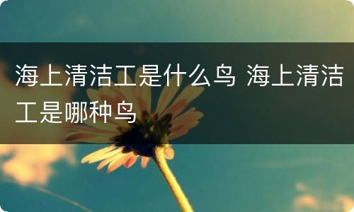 海上清洁工是什么鸟 海上清洁工是哪种鸟