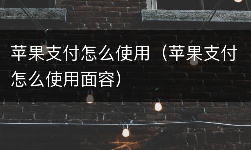 苹果支付怎么使用（苹果支付怎么使用面容）