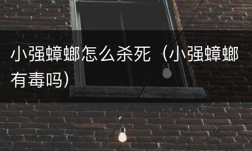 小强蟑螂怎么杀死（小强蟑螂有毒吗）
