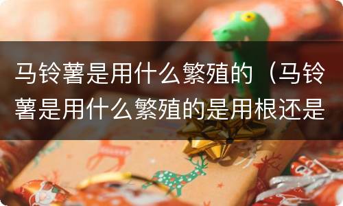马铃薯是用什么繁殖的（马铃薯是用什么繁殖的是用根还是茎）