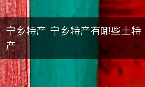 宁乡特产 宁乡特产有哪些土特产