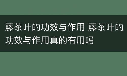 藤茶叶的功效与作用 藤茶叶的功效与作用真的有用吗