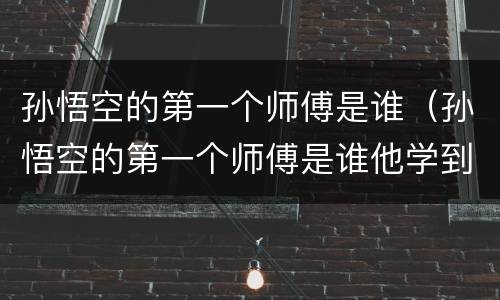 孙悟空的第一个师傅是谁（孙悟空的第一个师傅是谁他学到了什么本领）