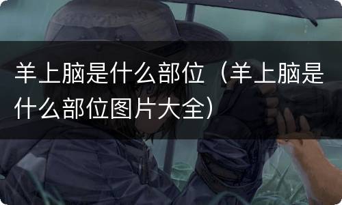 羊上脑是什么部位（羊上脑是什么部位图片大全）