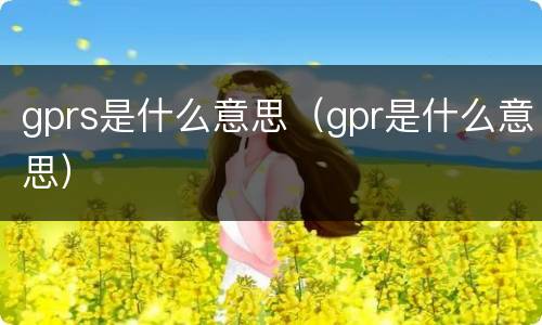 gprs是什么意思（gpr是什么意思）