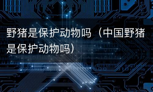 野猪是保护动物吗（中国野猪是保护动物吗）