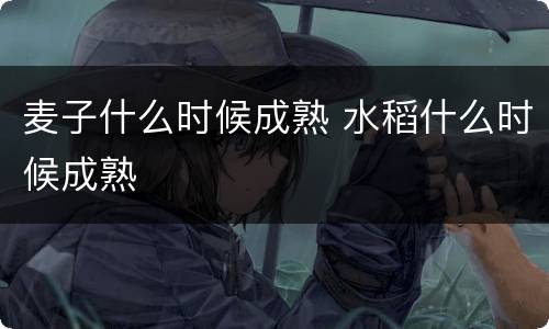 麦子什么时候成熟 水稻什么时候成熟