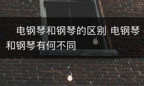 ​电钢琴和钢琴的区别 电钢琴和钢琴有何不同