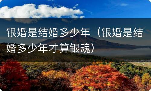 银婚是结婚多少年（银婚是结婚多少年才算银魂）