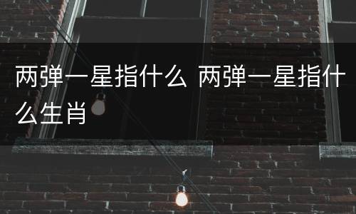 两弹一星指什么 两弹一星指什么生肖