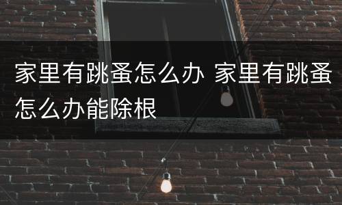 家里有跳蚤怎么办 家里有跳蚤怎么办能除根