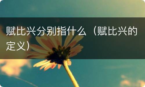赋比兴分别指什么（赋比兴的定义）