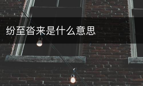 纷至沓来是什么意思