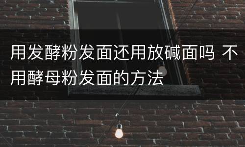 用发酵粉发面还用放碱面吗 不用酵母粉发面的方法