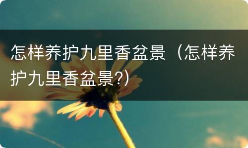 怎样养护九里香盆景（怎样养护九里香盆景?）