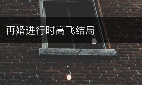 再婚进行时高飞结局