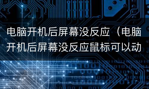 电脑开机后屏幕没反应（电脑开机后屏幕没反应鼠标可以动）