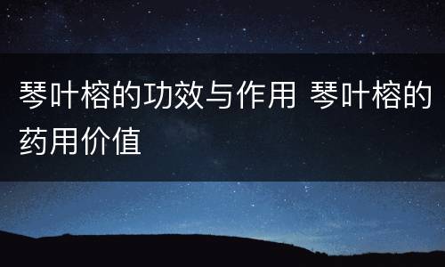 琴叶榕的功效与作用 琴叶榕的药用价值