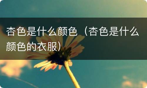 杏色是什么颜色（杏色是什么颜色的衣服）