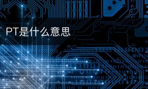PT是什么意思