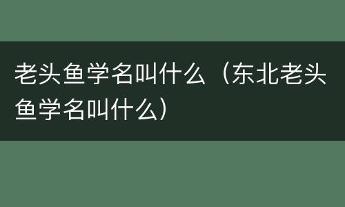 老头鱼学名叫什么（东北老头鱼学名叫什么）