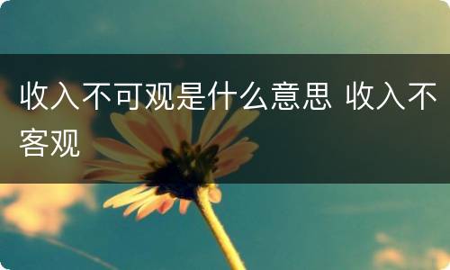 收入不可观是什么意思 收入不客观