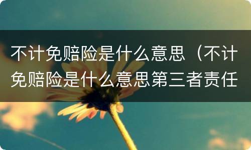 不计免赔险是什么意思（不计免赔险是什么意思第三者责任险）