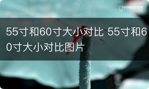 55寸和60寸大小对比 55寸和60寸大小对比图片
