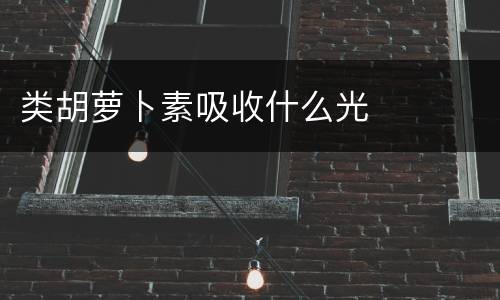 类胡萝卜素吸收什么光