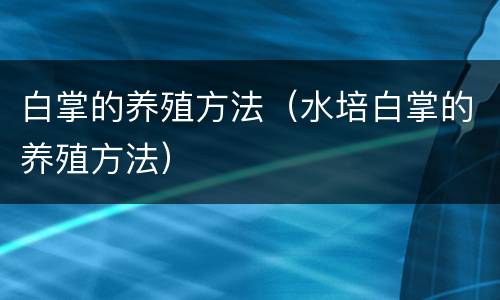 白掌的养殖方法（水培白掌的养殖方法）