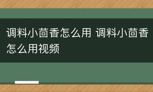 调料小茴香怎么用 调料小茴香怎么用视频