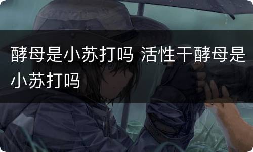 酵母是小苏打吗 活性干酵母是小苏打吗