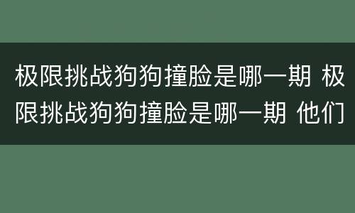 极限挑战狗狗撞脸是哪一期 极限挑战狗狗撞脸是哪一期 他们都拿的是什么狗?