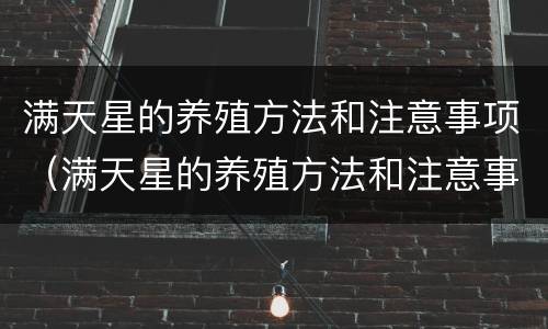 满天星的养殖方法和注意事项（满天星的养殖方法和注意事项 盆栽）
