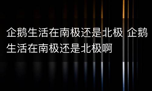 企鹅生活在南极还是北极 企鹅生活在南极还是北极啊