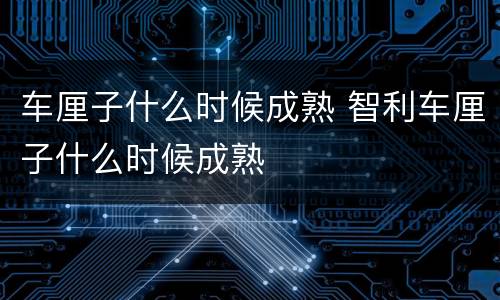 车厘子什么时候成熟 智利车厘子什么时候成熟