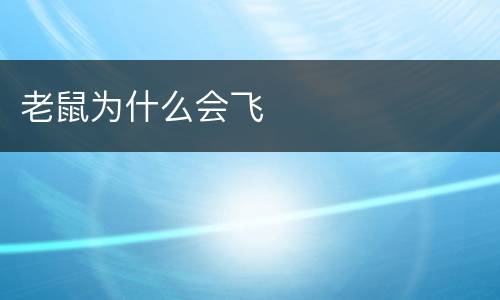 老鼠为什么会飞