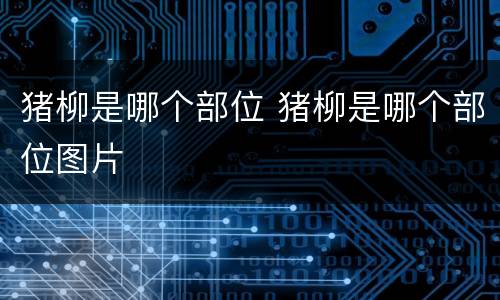 猪柳是哪个部位 猪柳是哪个部位图片