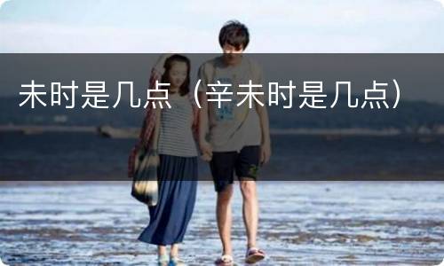 未时是几点（辛未时是几点）
