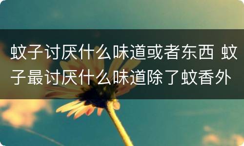 蚊子讨厌什么味道或者东西 蚊子最讨厌什么味道除了蚊香外