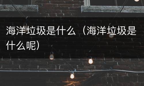 海洋垃圾是什么（海洋垃圾是什么呢）