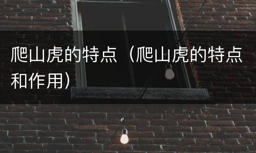 爬山虎的特点（爬山虎的特点和作用）