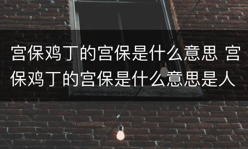 宫保鸡丁的宫保是什么意思 宫保鸡丁的宫保是什么意思是人名还是官名